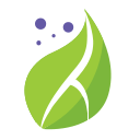 HealthShots logo
